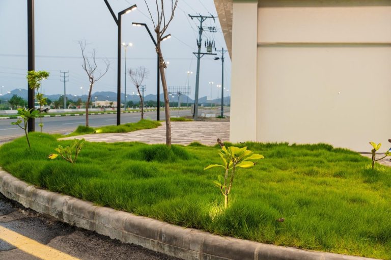 01d796e6-f8a0-4005-a381-81cc8d342a52